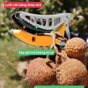 kéo hái quả trên cao