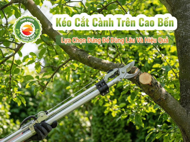 Kéo cắt cành trên cao bền - Lựa chọn đúng để dùng lâu