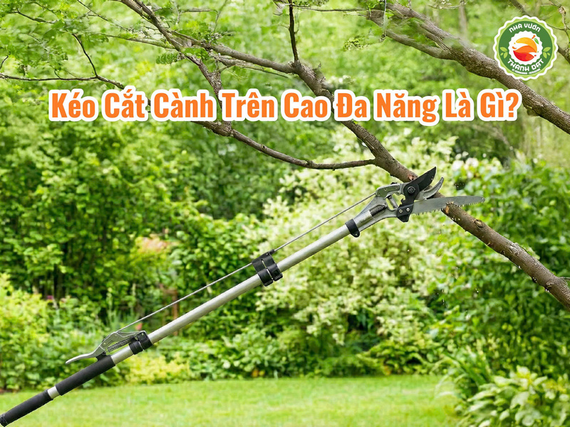 Kéo cắt cành trên cao đa năng là gì