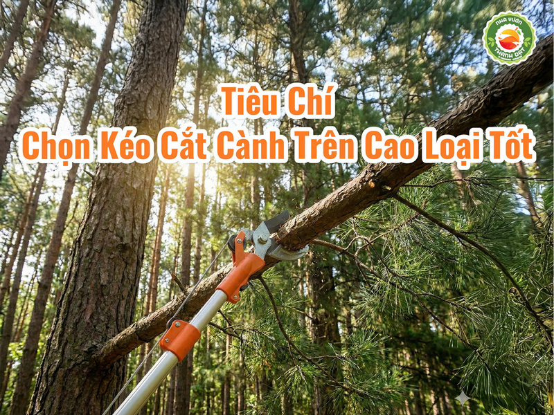 Một số tiêu chí chọn kéo cắt cành trên cao loại tốt