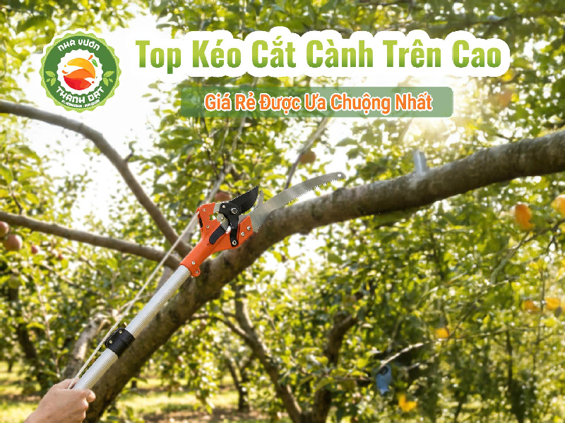 Kéo cắt cành trên cao giá rẻ