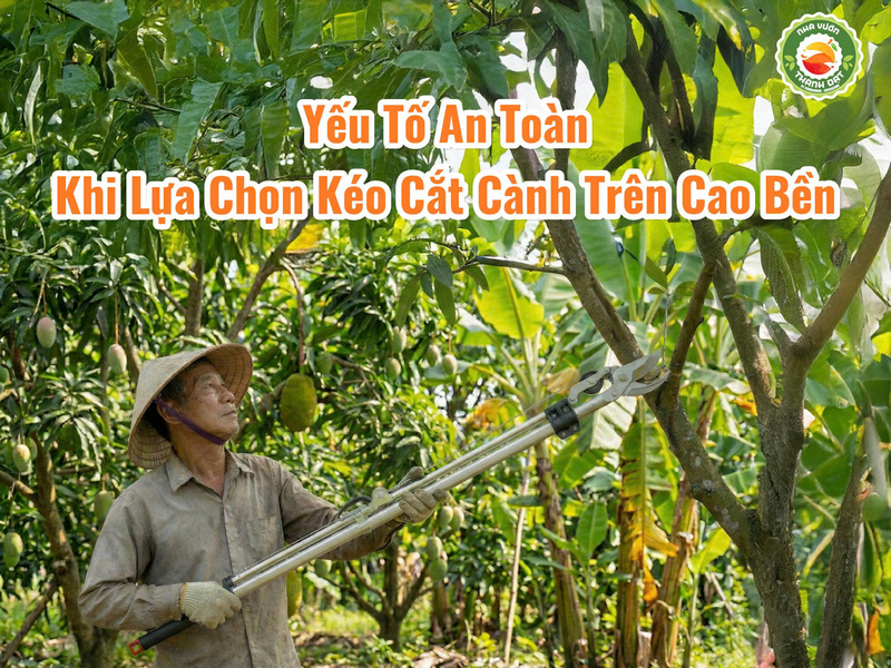 Yếu tố an toàn khi lựa chọn kéo cắt cành trên cao bền