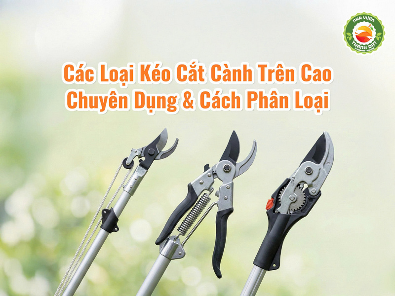 Các loại kéo cắt cành trên cao chuyên dụng