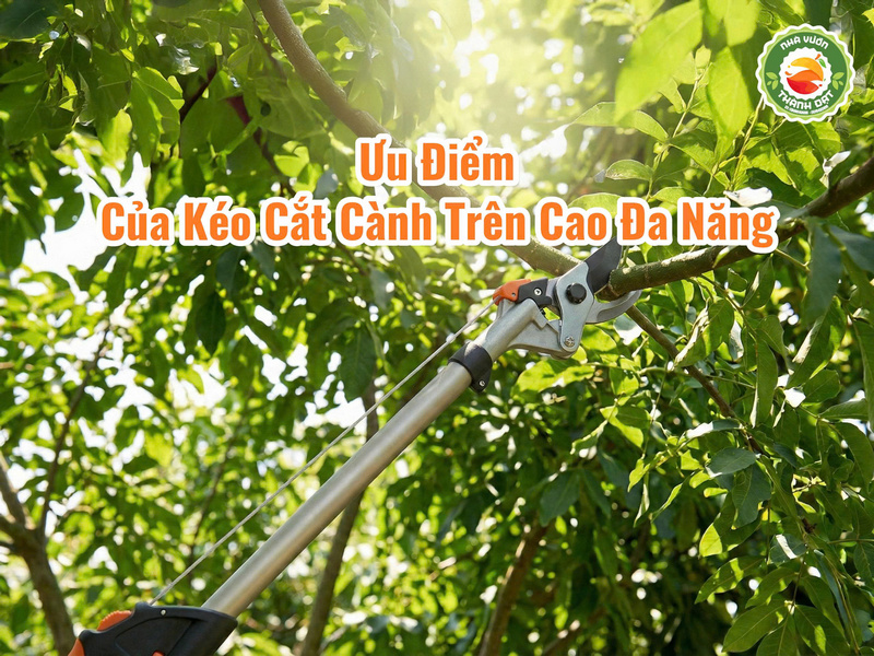 Ưu điểm của kéo cắt cành trên cao là gì
